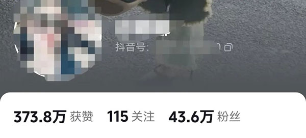 做男粉项目用什么样的素材流量最大网赚项目-副业赚钱-互联网创业-资源整合零八资源站